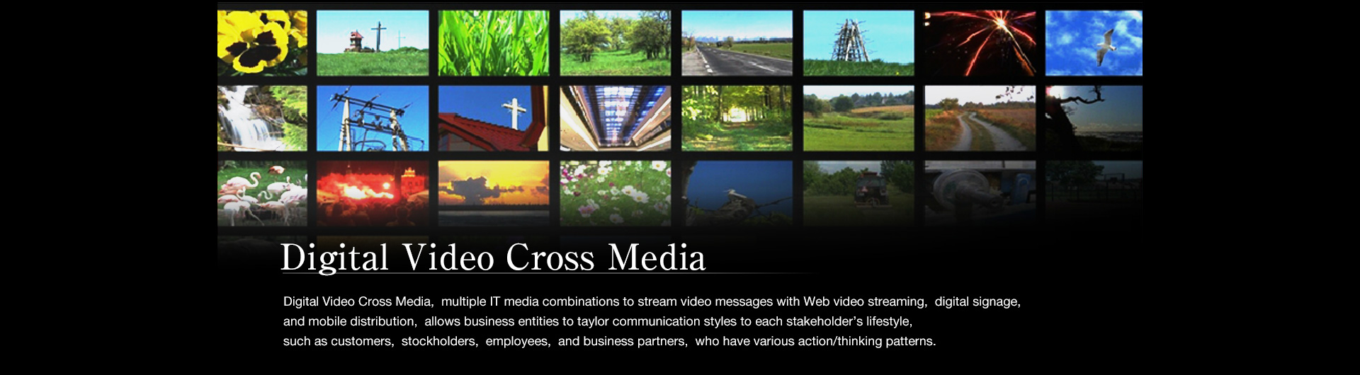 Digital Video Cross Media
